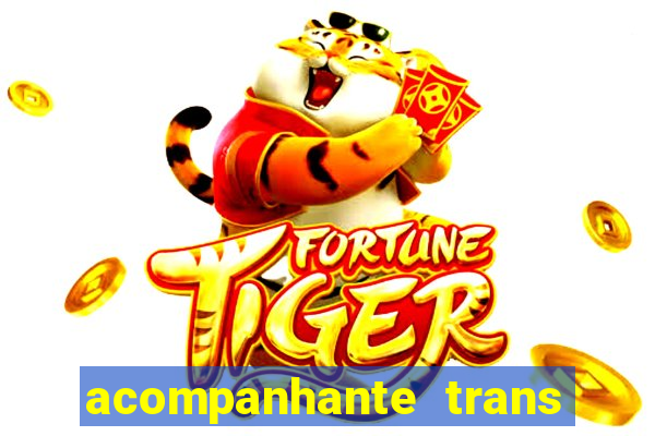 acompanhante trans de santos